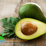 Bibit Buah Alpukat Mentega