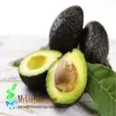 alpukat