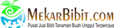 Jual Bibit Tanaman Buah Termurah - Mekar Bibit
